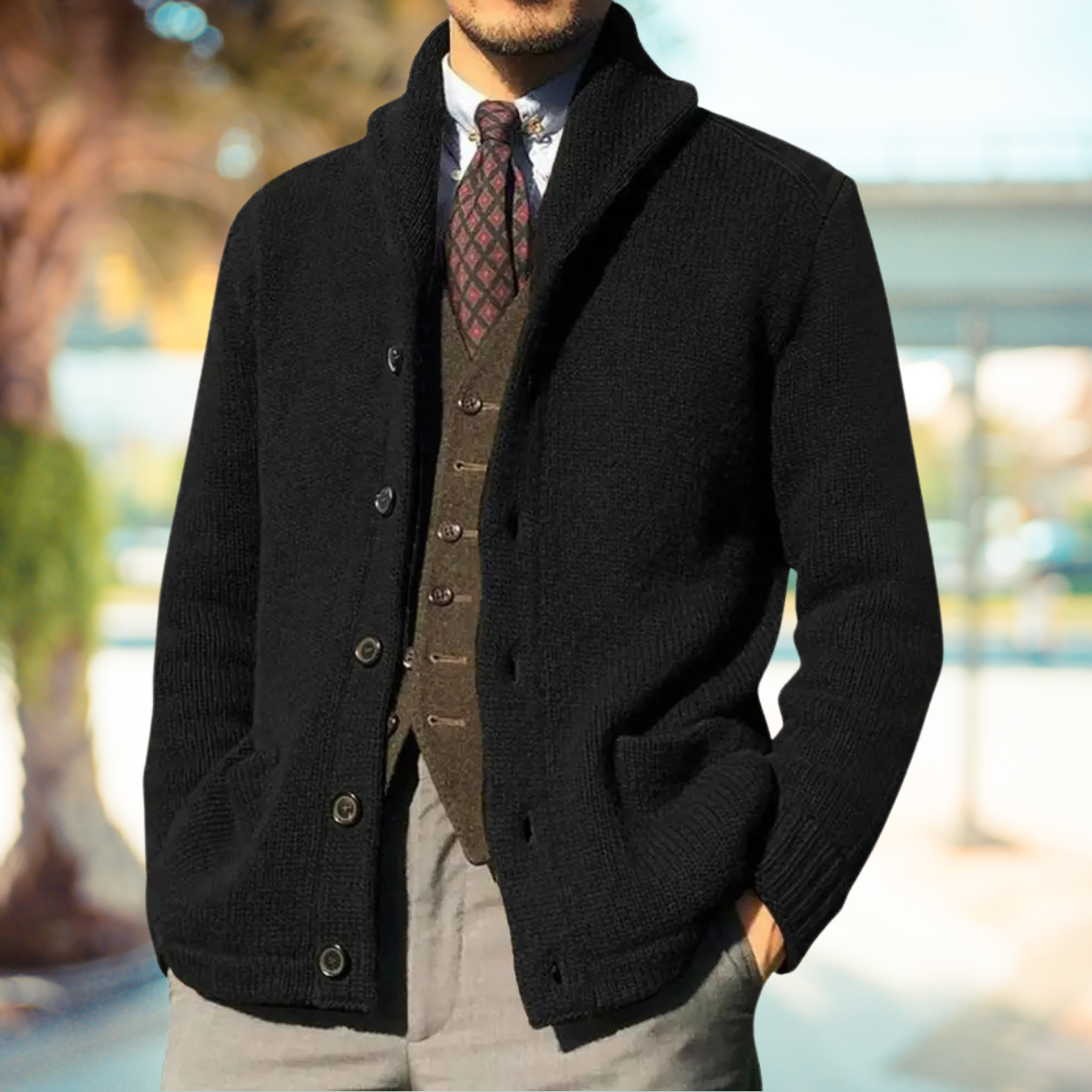Curdin | Strickjacke Herren mit Stehkragen Knopfleiste