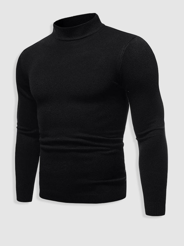 Rafael | Rollkragenpullover Herren Slim Fit Strick