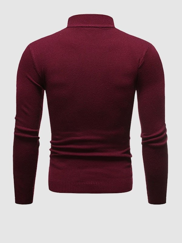 Rafael | Rollkragenpullover Herren Slim Fit Strick