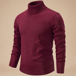 Reto | Feinstrick Pullover Herren mit Rollkragen Slim Fit