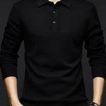 Sebastian | Pullover aus Wollmischung mit Polokragen Herren Langarm Knopfleiste